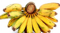 Manfaat Pisang Kepok
