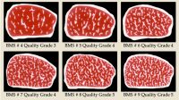 Harga Wagyu Grade A6