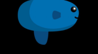 Mola TV Haidunia Featured Image
