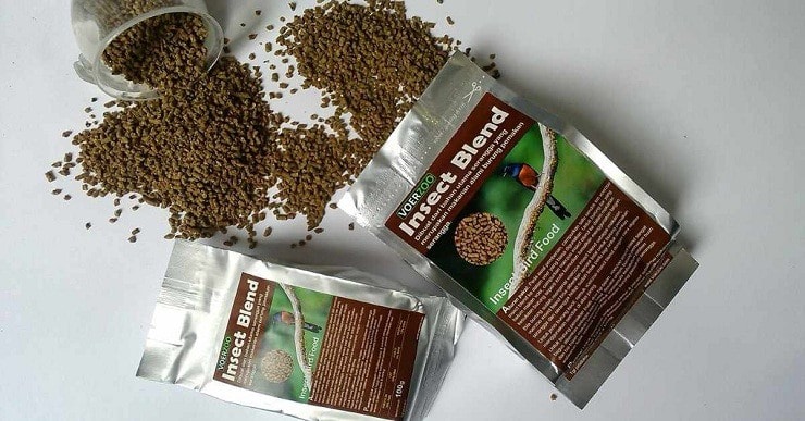 makanan burung pelatuk