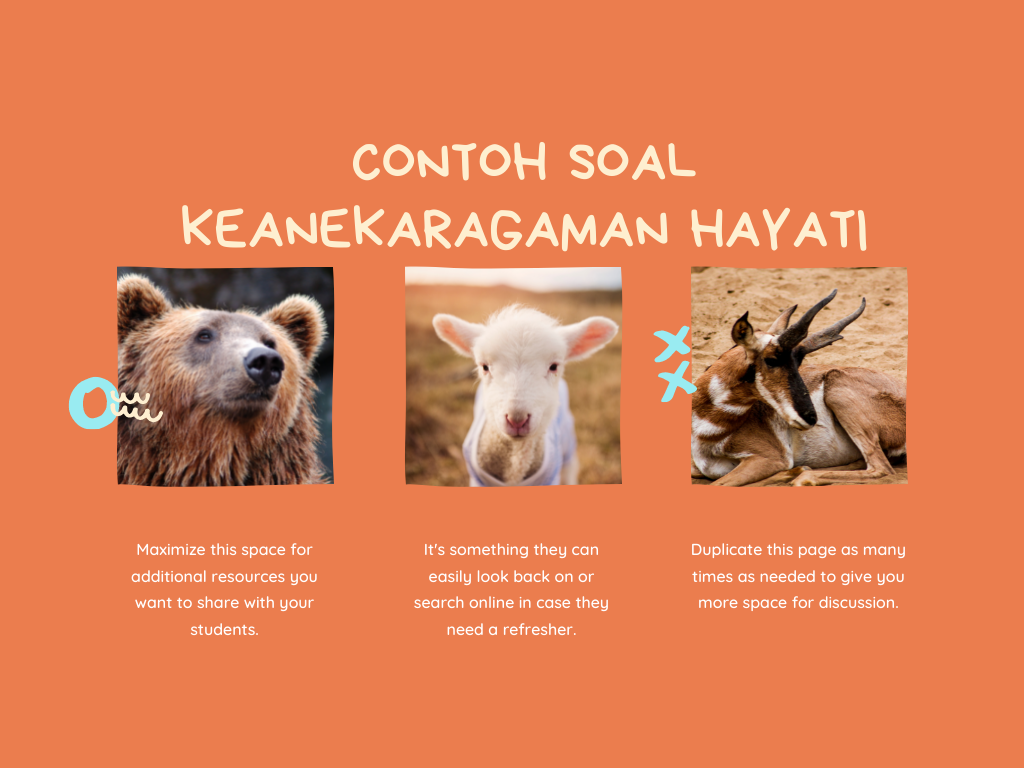 CONTOH SOAL KEANEKARAGAMAN HAYATI