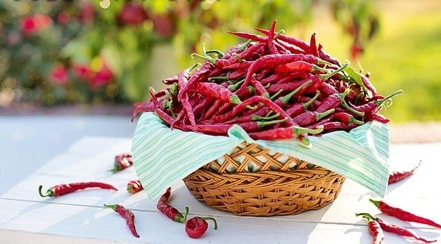 keunggulan cabe or twist 42