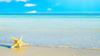 puisi tentang laut dan pantai