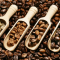 roasting kopi