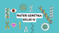 soal materi genetik kelas 12 dan jawaban soal materi genetik kelas 12 dan jawaban